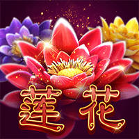 莲花