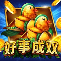 好事成双