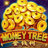 金钱树