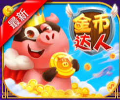 金币达人